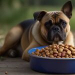 Best dry dog food for skin allergies 2024