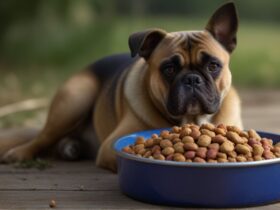 Best dry dog food for skin allergies 2024