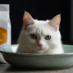 The Health Benefits of Nutritional Supplements for Cats