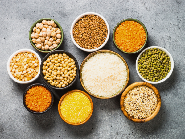 Grain-Free And Legume-Free Dog Food photo