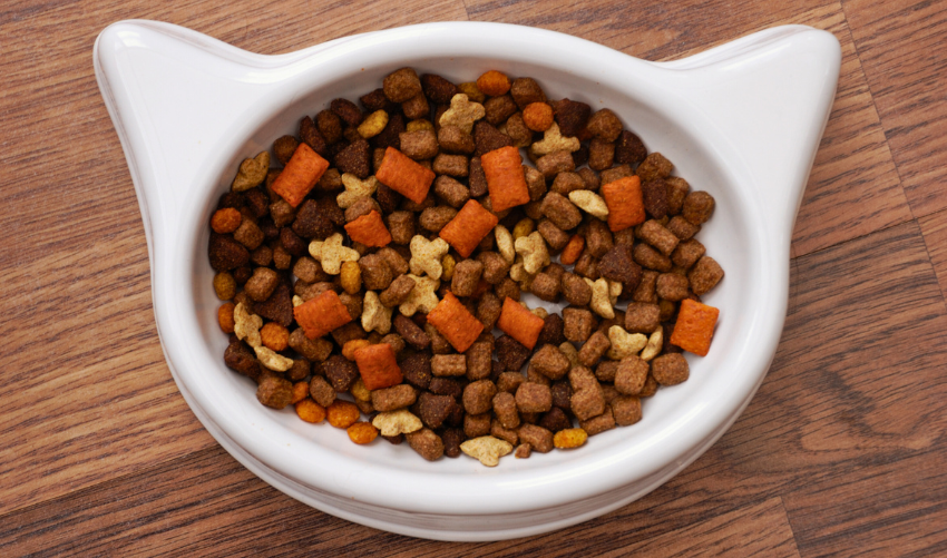 Top 5 Cat Foods for Allergies in 2025 photo