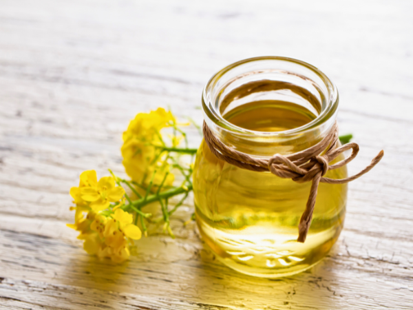 is canola oil in dog food bad 2